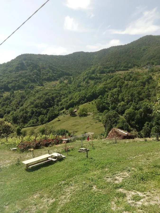 Ca' Del Ri Hotel Gargnano